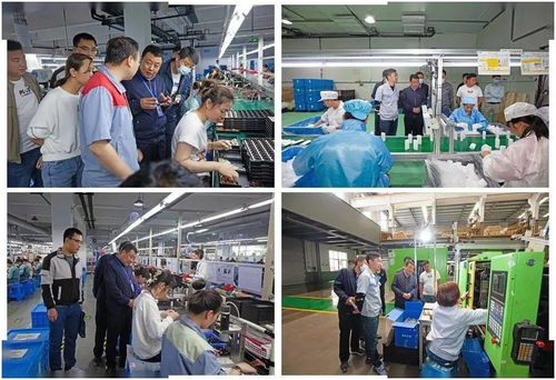 武山縣黨史學習教育助推勞務產業(yè)跑出加速度