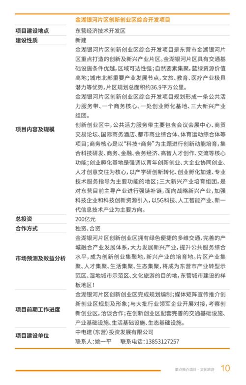 2021年東營市文化旅游項目開發策劃咨詢 賦能黃河入海，打造文旅新名片